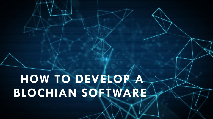 How to Buld a Blockchain Software